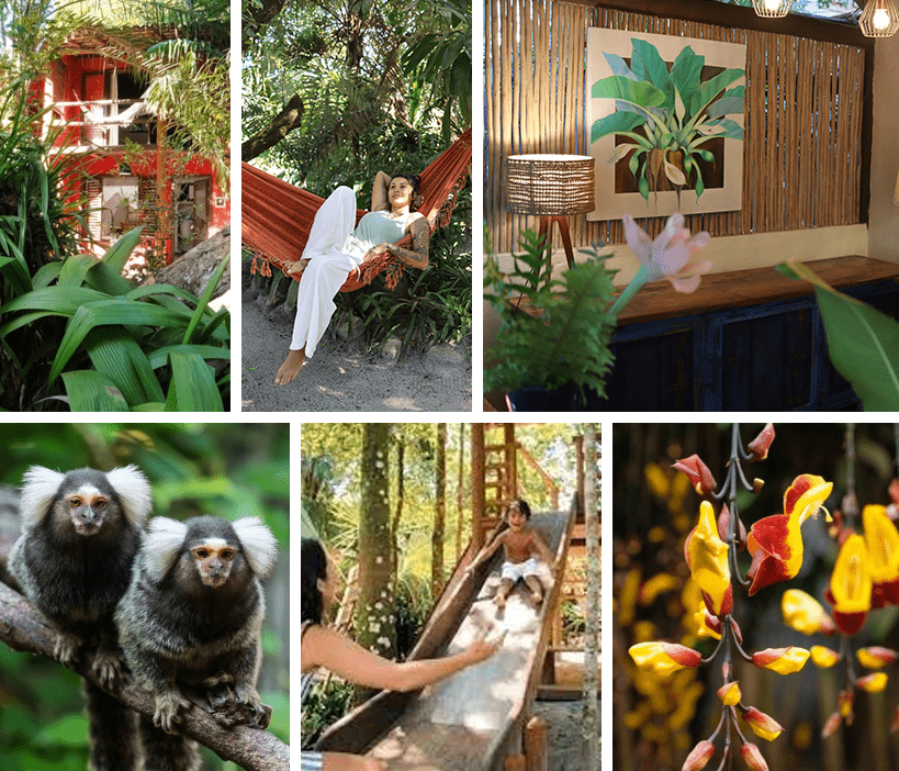 Natureza em Área Externa Mata N’ativa Pousada - Trancoso